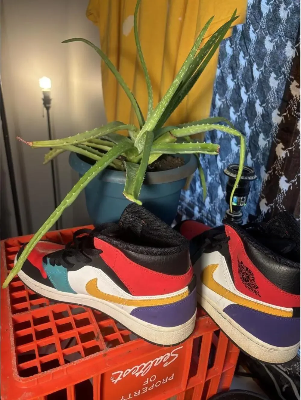 Jordan Men's Multi and Red Trainer